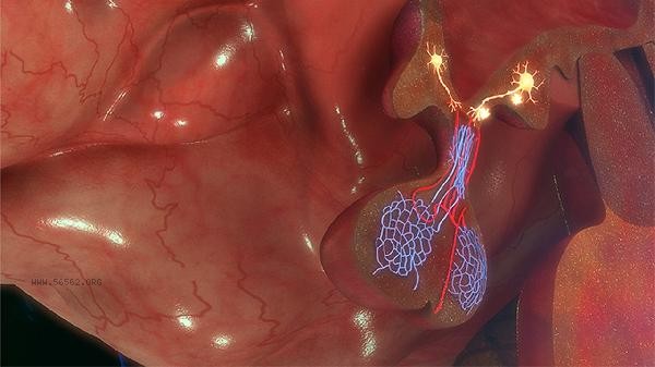What is the ratio of resistance before and after capillaries