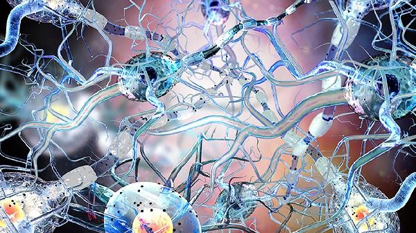 The difference between endorphins and dopamine and neurological disorders