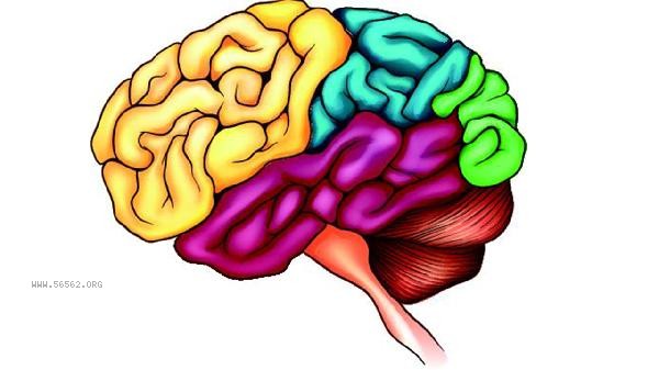 What is the reason for a blank brain without thinking
