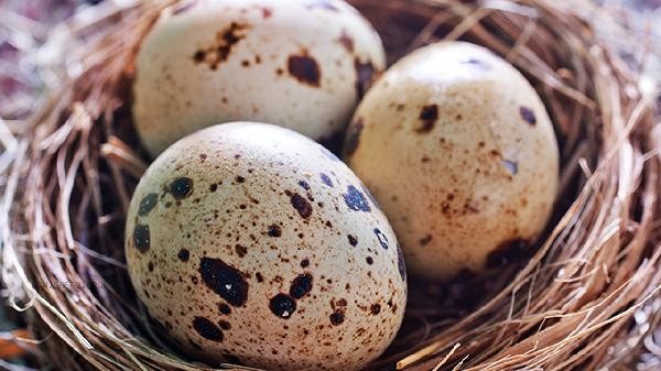 What if the eggshell can't be peeled off