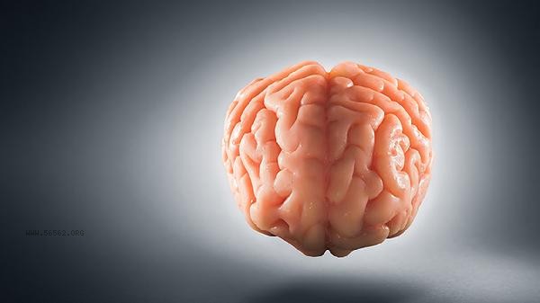 The brain is always in a state of distraction and confusion