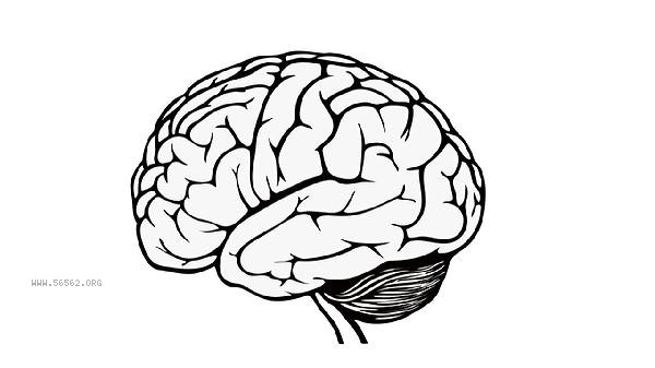 The brain is always in a state of distraction. What department should I go to the hospital to see