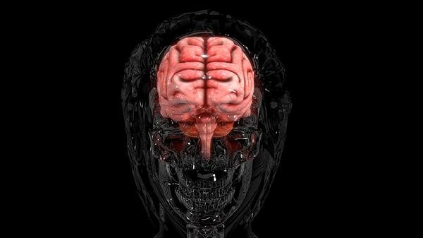 The brain is always in a distracted state