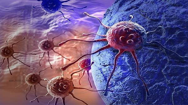 Can renal cell tumors be cured