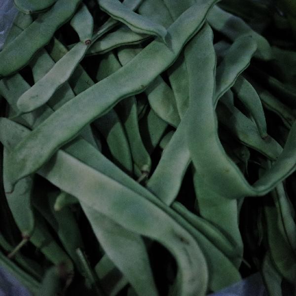 What are the benefits and drawbacks of eating water spinach