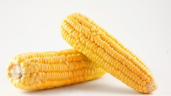 What is the best foliar fertilizer to spray on corn