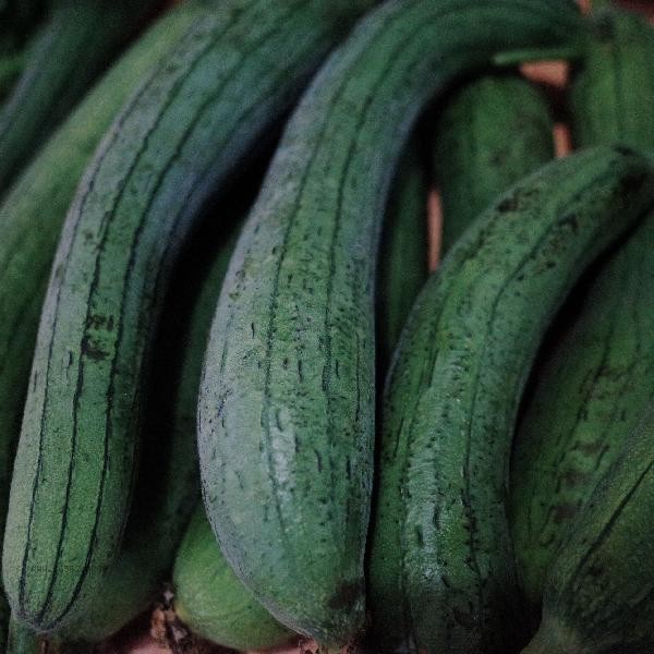 What are the vegetables with edible plant stems