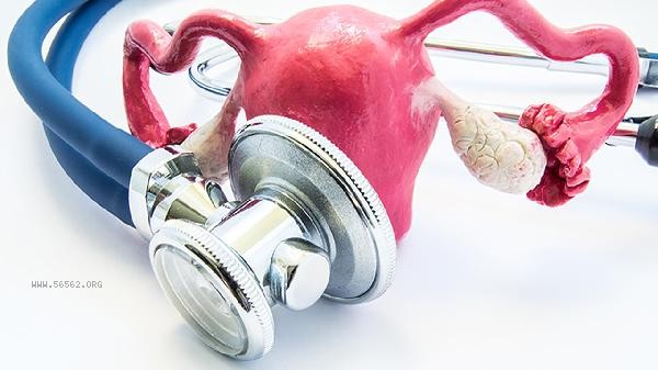Pregnancy causes polycystic ovary syndrome in the ovaries
