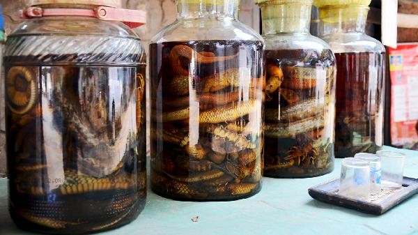 What is the best medicinal wine for treating rheumatism? Can medicinal wine treat rheumatism