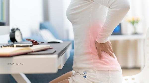 What tests are needed for lower back pain