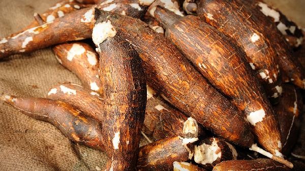 Can babies eat cassava starch