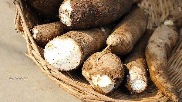 Why can't we eat more cassava flour