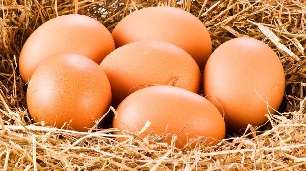 Can eating only one egg at night help you lose weight