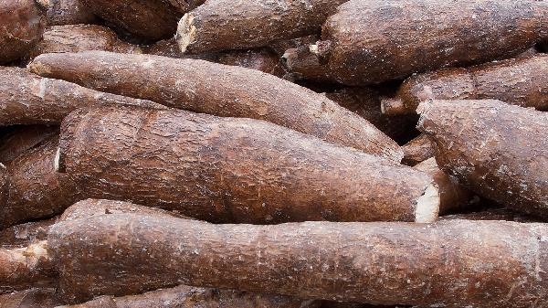 What is cassava flour called in supermarkets