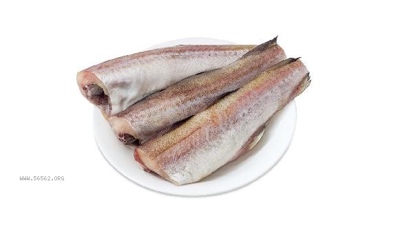 Who is not suitable for eating shellfish and seafood