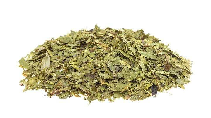 How to drink senna leaves for the most weight loss