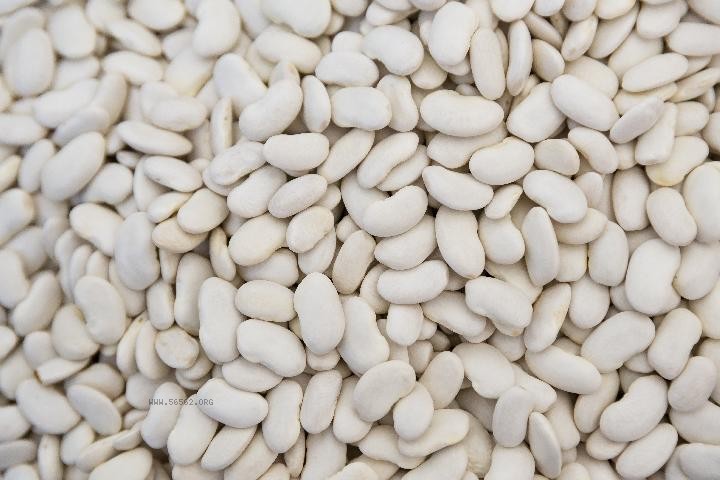 Can eating tofu for three meals a day help with weight loss