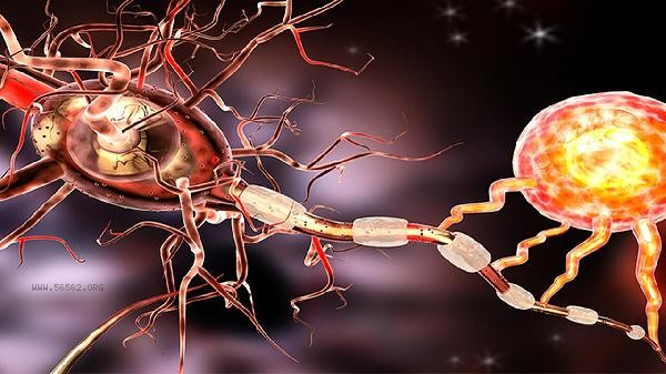 What infection does a high neutrophil count indicate