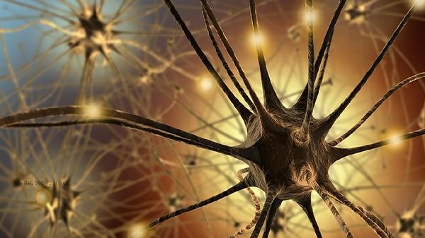 Is calcium pyruvate listed as a carcinogen