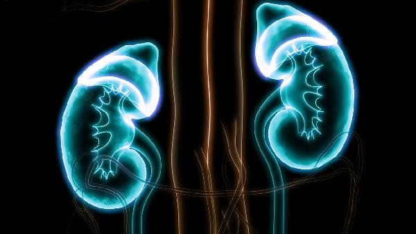 What causes high levels of urea nitrogen and creatinine