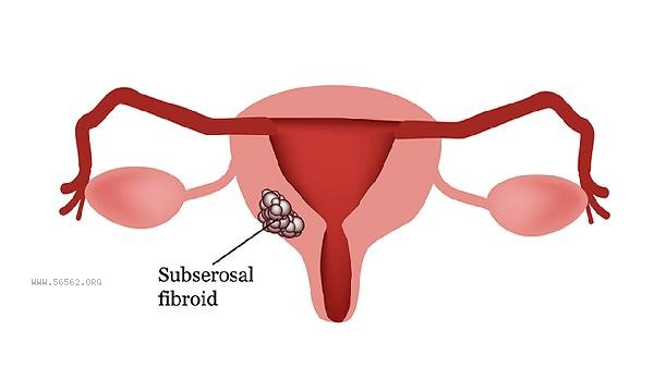 What's going on with the cervix jumping up and down
