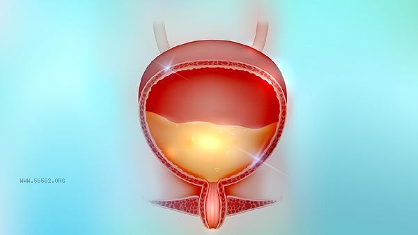 Can vascular stenosis lead to high blood pressure