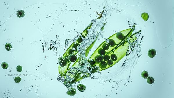 Will diet cause high blood pressure