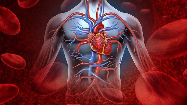 The efficacy of coronary angiography