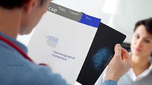 Specific examination contents of 4D ultrasound