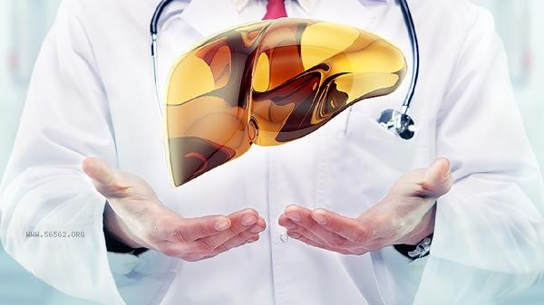 Can fatty liver be detected by ultrasound