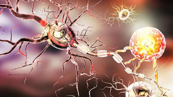 What is the appropriate score for high sympathetic nervous system tension and somatization