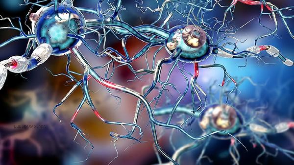 What should I do if I have a neurological disorder