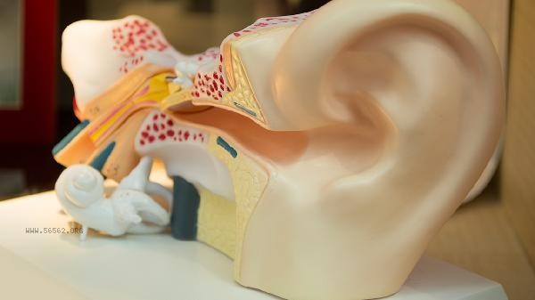 What are the self-healing methods for auditory hallucinations