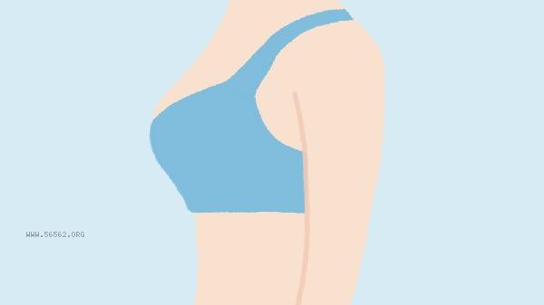 What determines the size of a woman's breasts