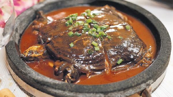 The taste of turtle is a bit like meat