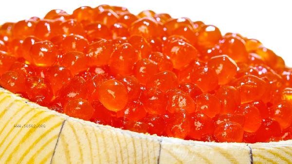 Will turtles come out of the water when they hear a whistle