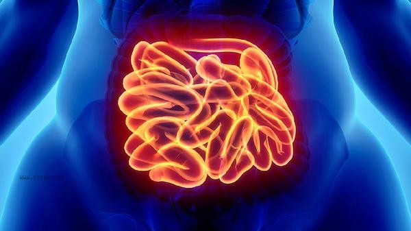 How to wash cow intestines without odor and clean