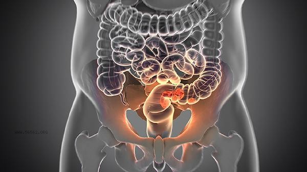 How to scrape off the fat on the cow intestines