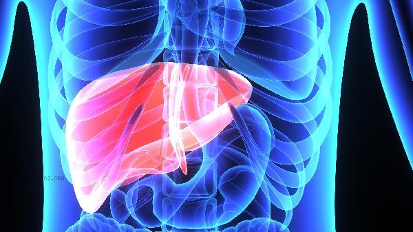 Does the high transaminase of hepatitis B carriers need anti-virus