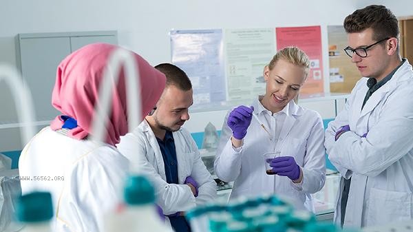 How to read the liver function physical examination and laboratory test report