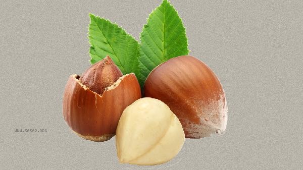 Correct usage of hazelnut fruit opener