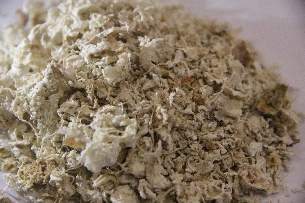 What are the drugs that can nourish the kidneys