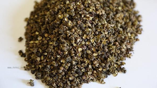 Can fresh Sichuan peppercorns be directly stir fried