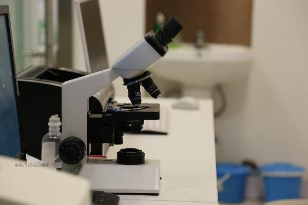 How long after a physical examination can one engage in vigorous exercise?