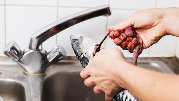 What is the function of hairtail scales