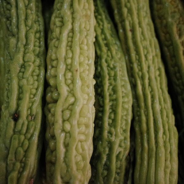 How to consume bitter gourd after it turns yellow