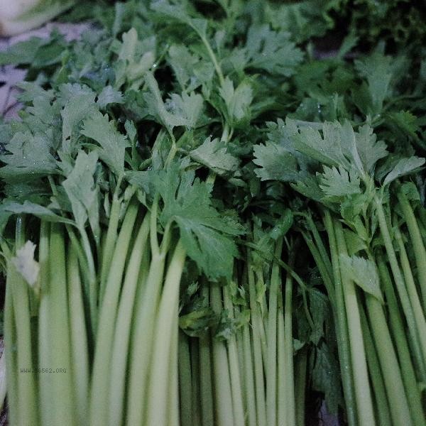 How to choose tender celery