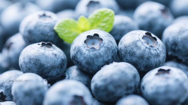 What is the suitable temperature for blueberries