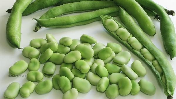 What will happen if you eat half cooked edamame