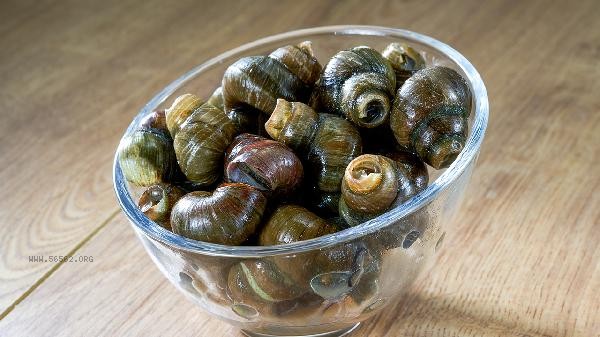 Can we eat the section behind the snail